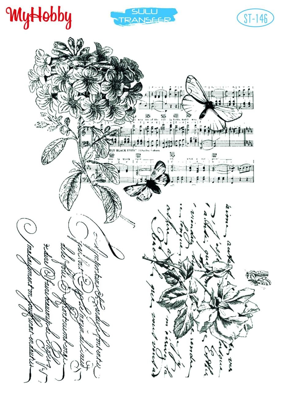 My Hobby SULU TRANSFER 146