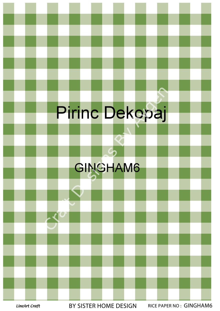 GINGHAM 06