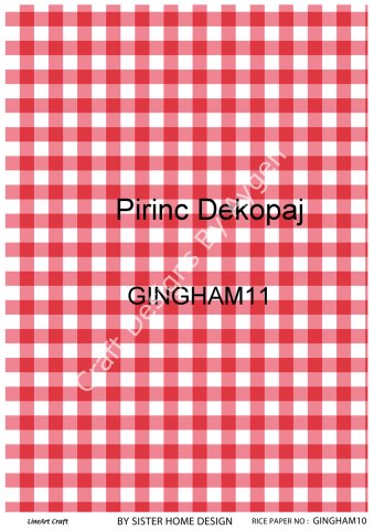 GINGHAM 10