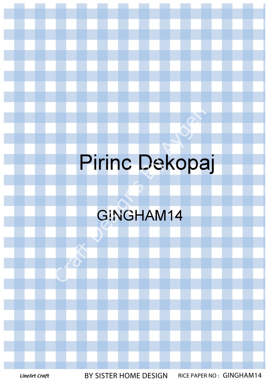 GINGHAM 14