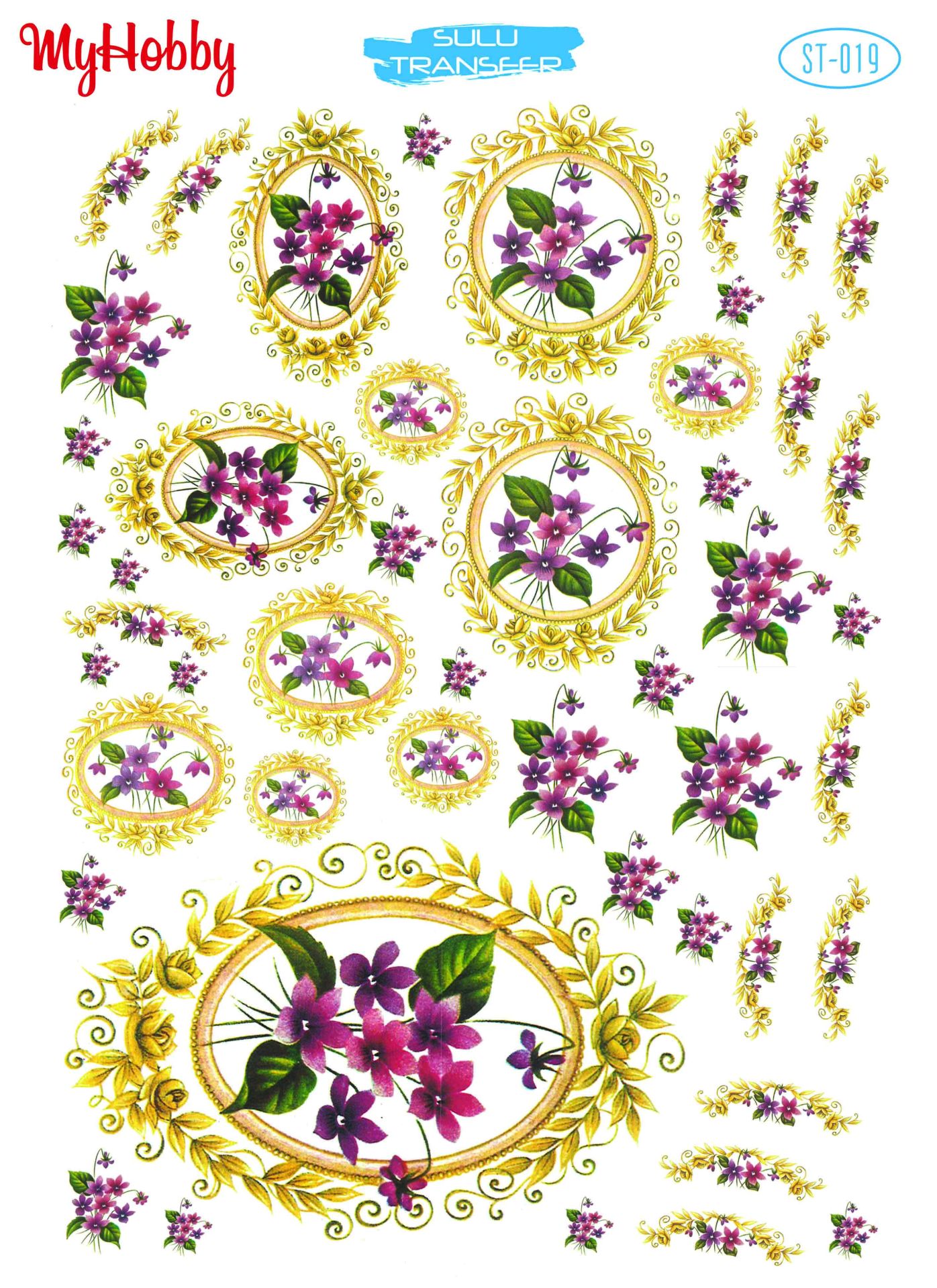 My Hobby SULU TRANSFER 019