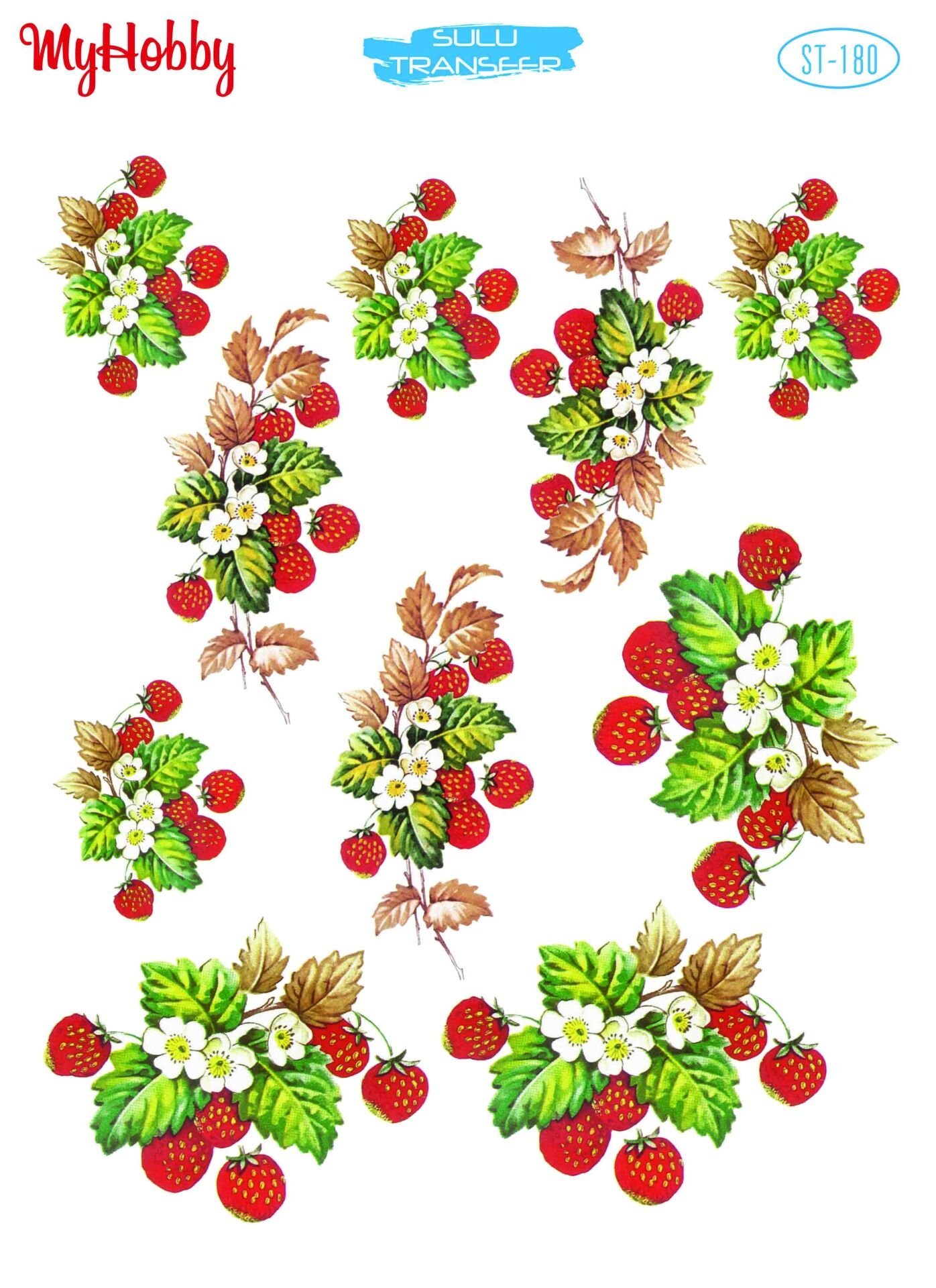 My Hobby SULU TRANSFER 180