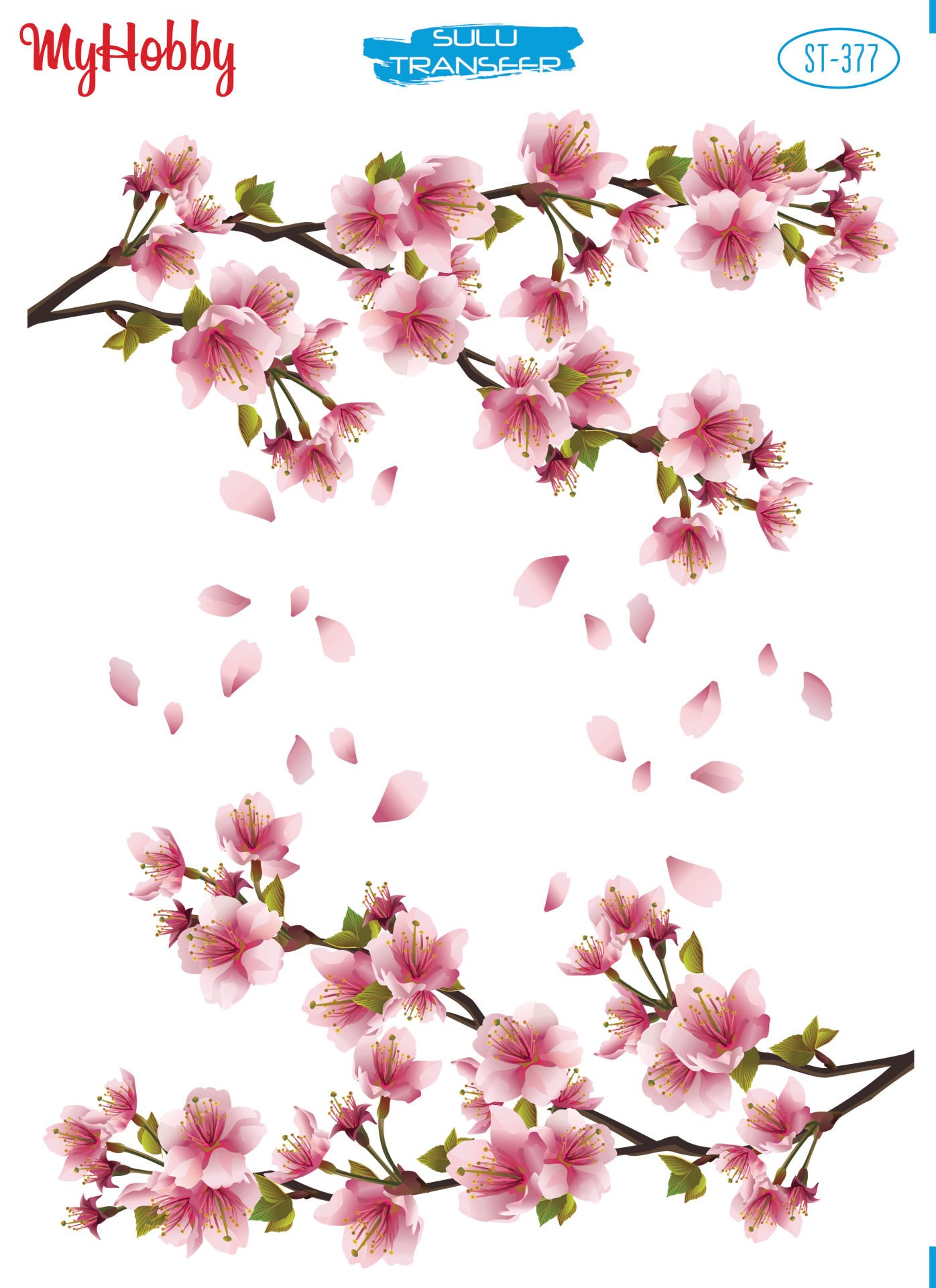 My Hobby SULU TRANSFER 377