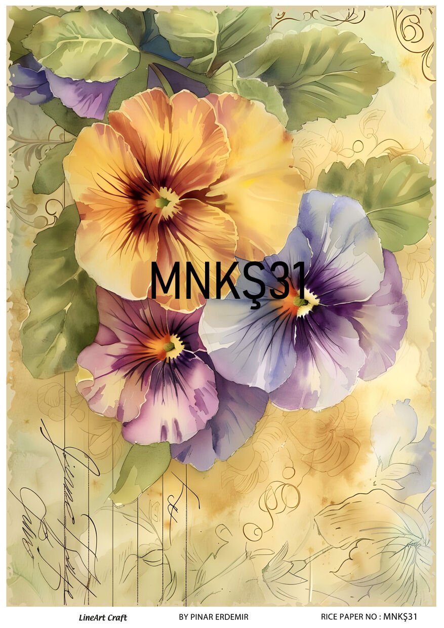 MNKS 31