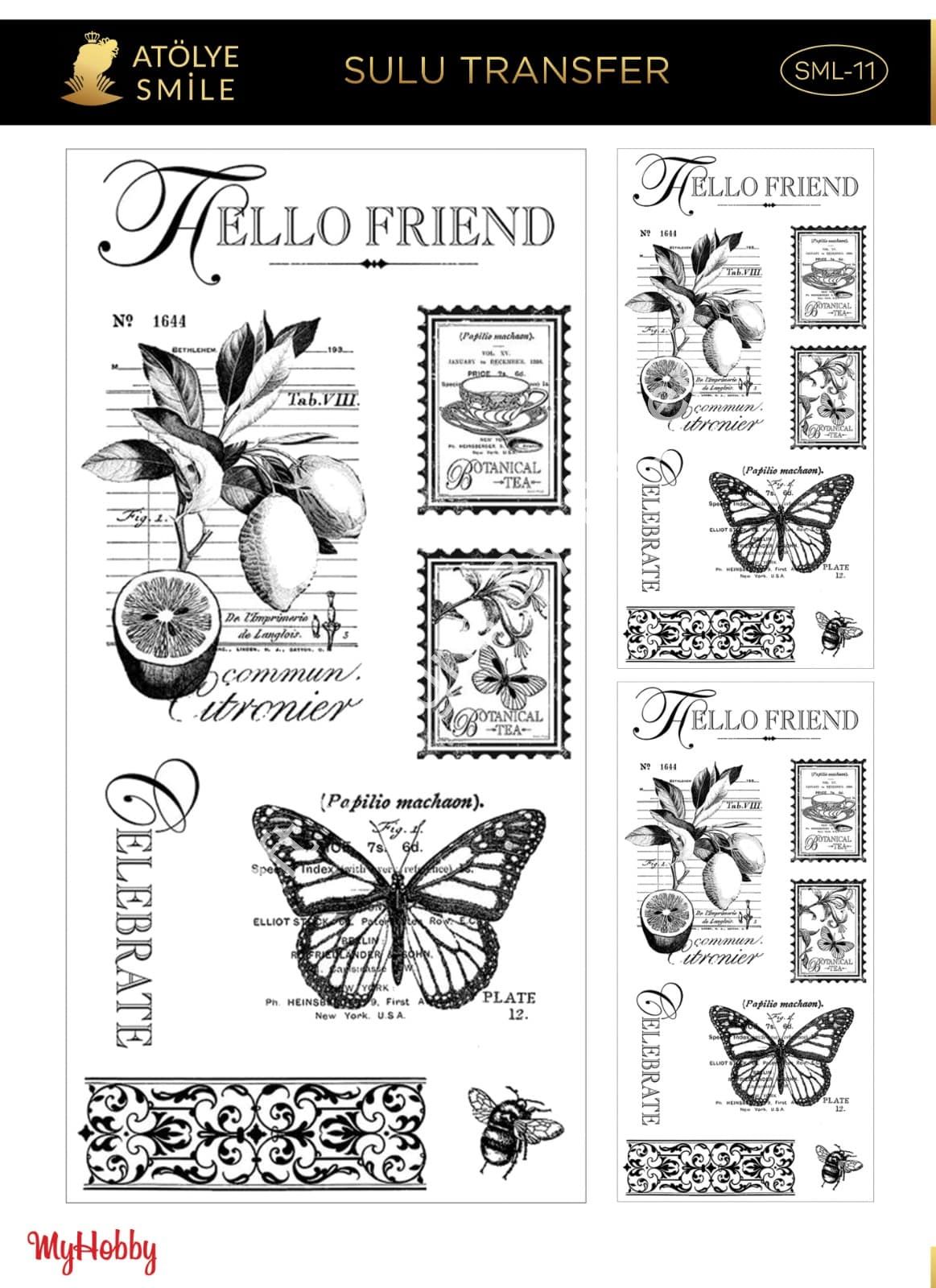 SMİLE SULU TRANSFER SML-11