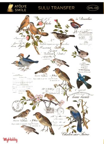SMİLE SULU TRANSFER SML-08