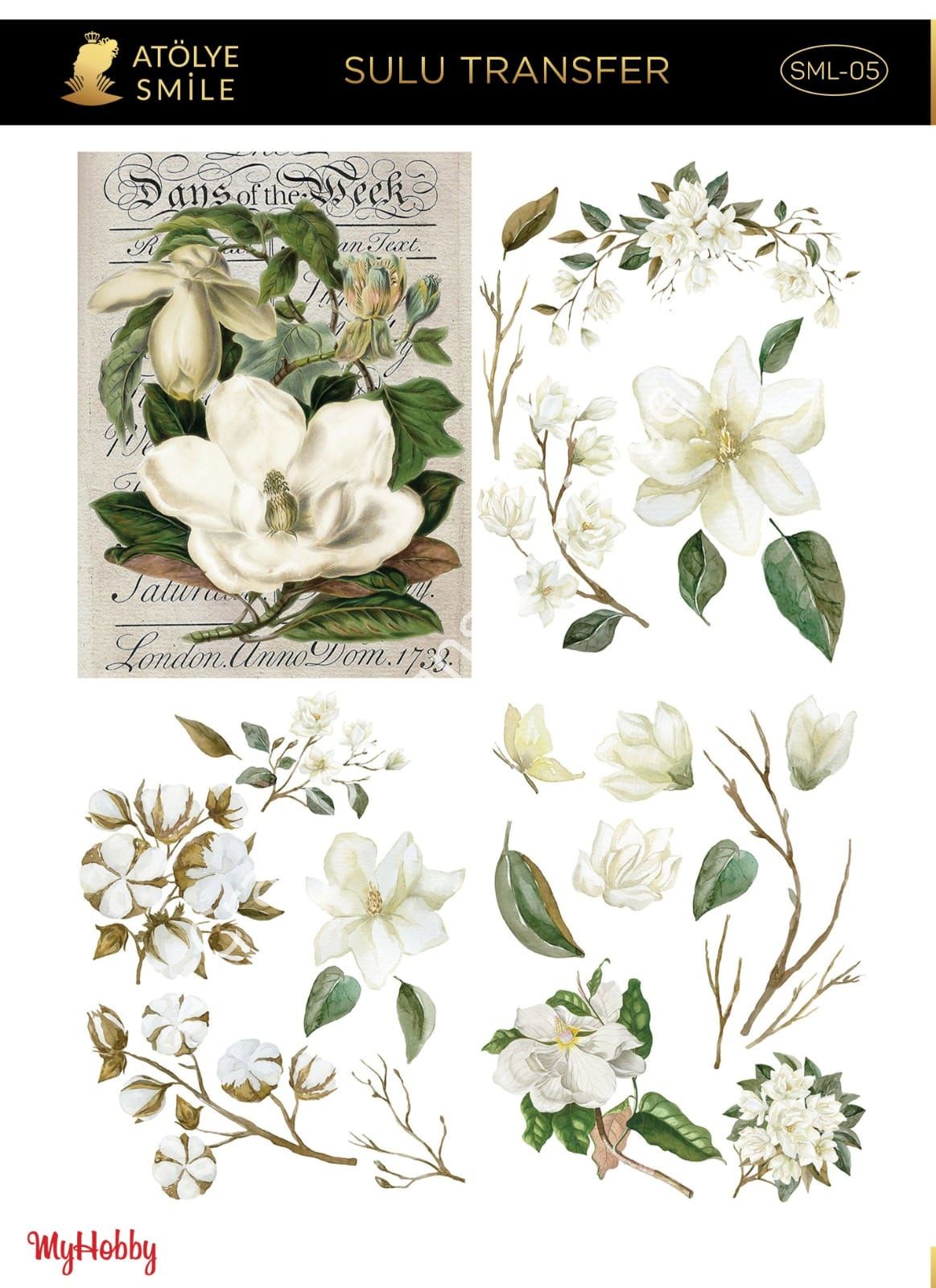 SMİLE SULU TRANSFER SML-05