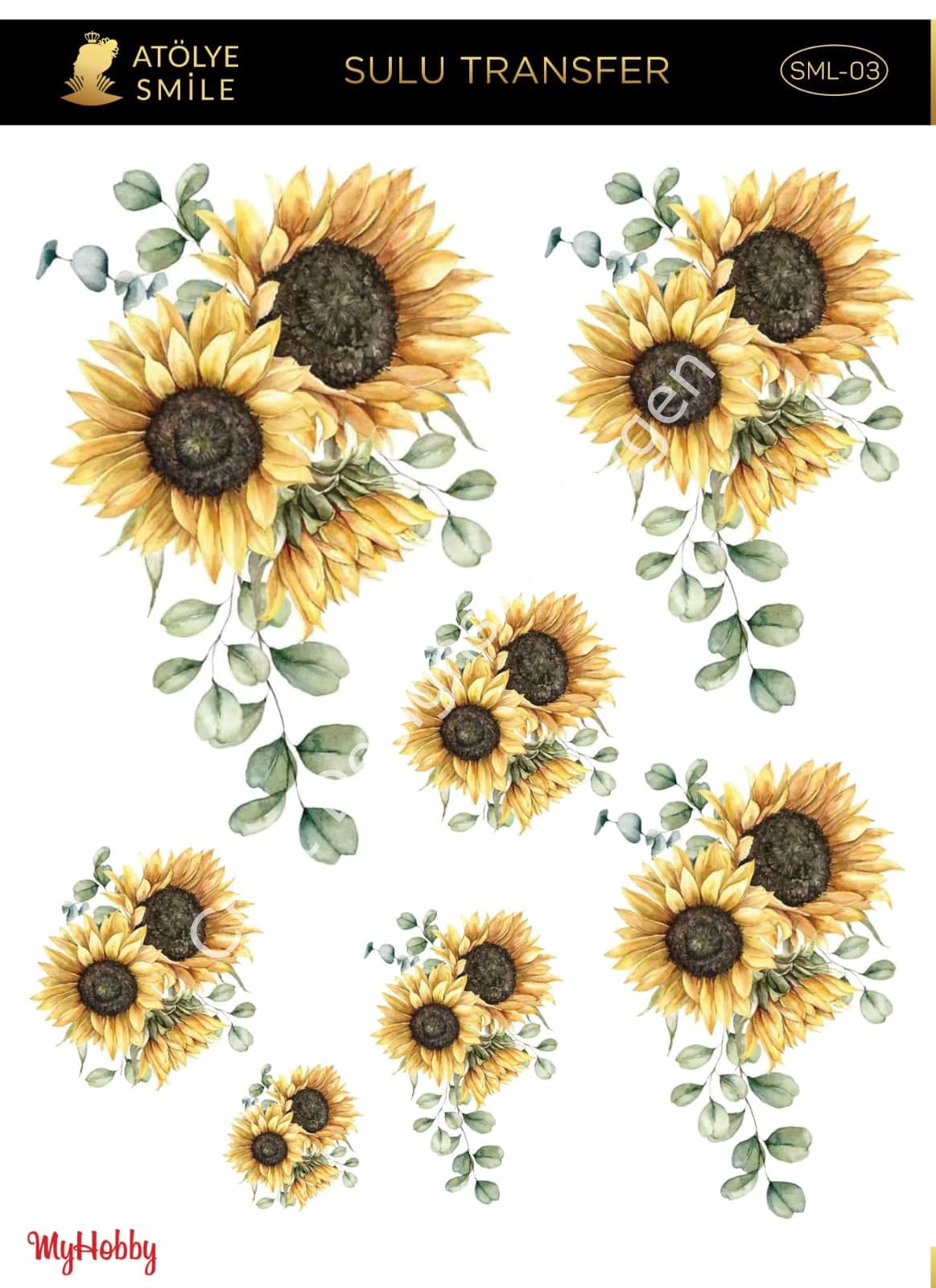 SMİLE SULU TRANSFER SML-03