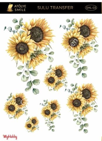 SMİLE SULU TRANSFER SML-03