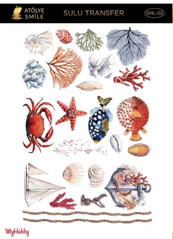 SMİLE SULU TRANSFER SML-02