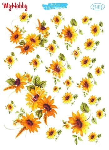 My Hobby SULU TRANSFER 018