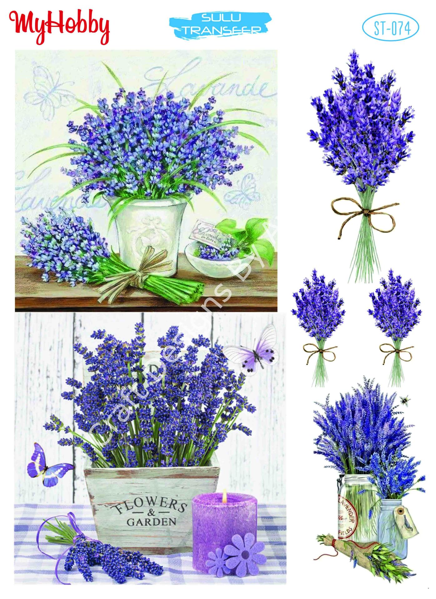 My Hobby SULU TRANSFER 074