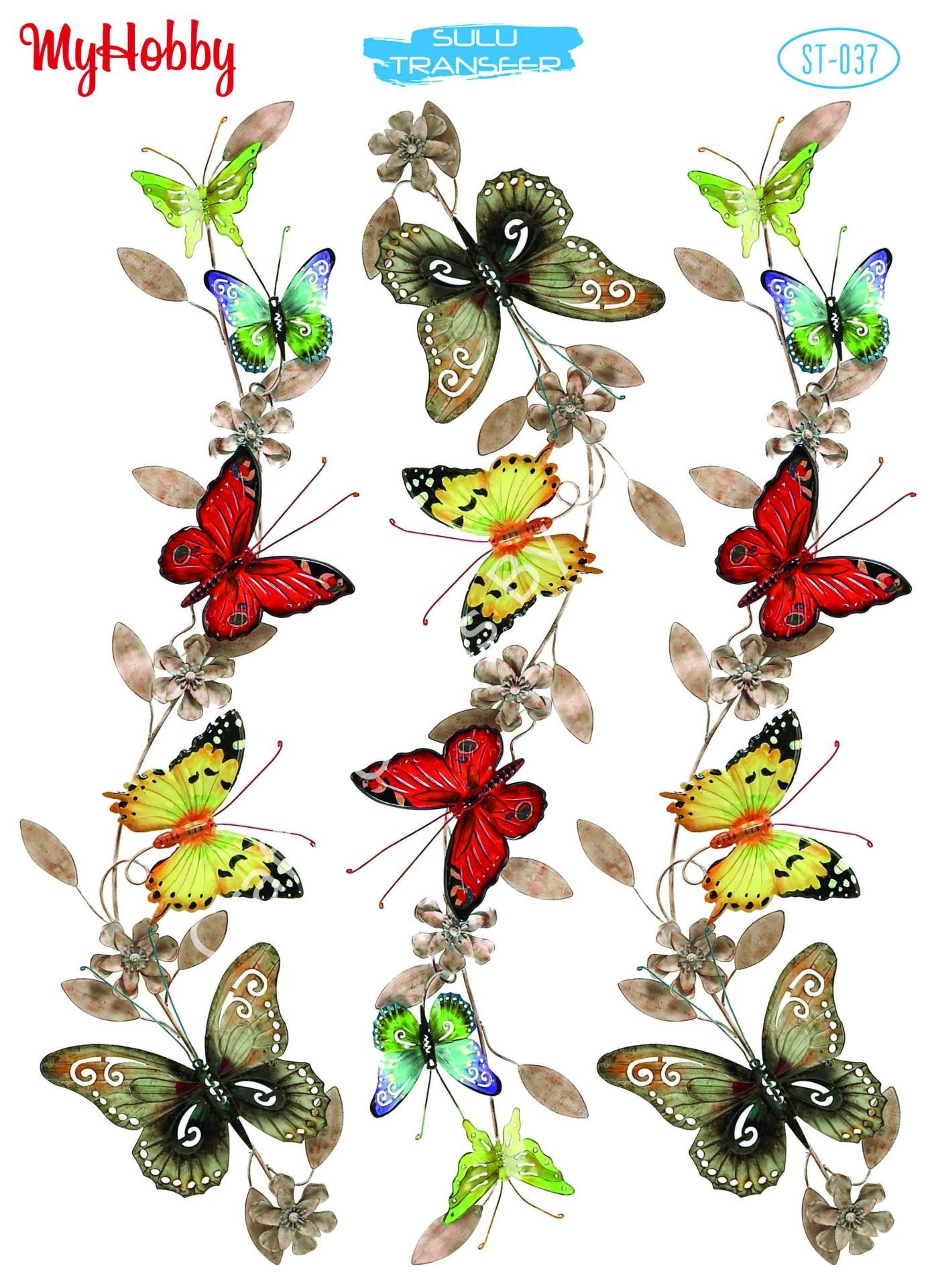 My Hobby SULU TRANSFER 037