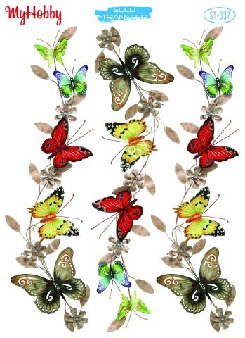 My Hobby SULU TRANSFER 037