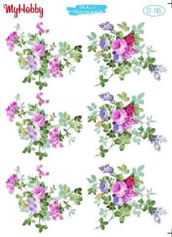 My Hobby SULU TRANSFER 185