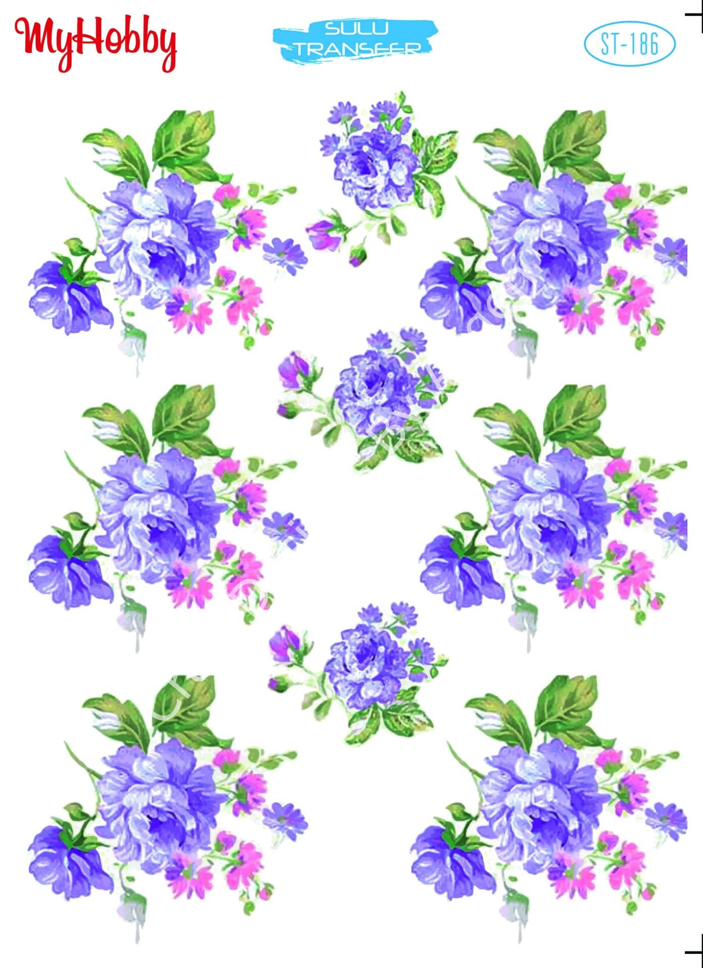 My Hobby SULU TRANSFER 186