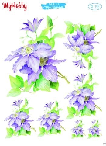 My Hobby SULU TRANSFER 192