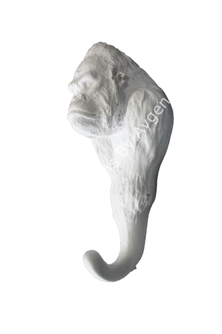 Boyanabilir Polyester Ham Objeler -GORİL DUVAR ASKISI(15X7CM)