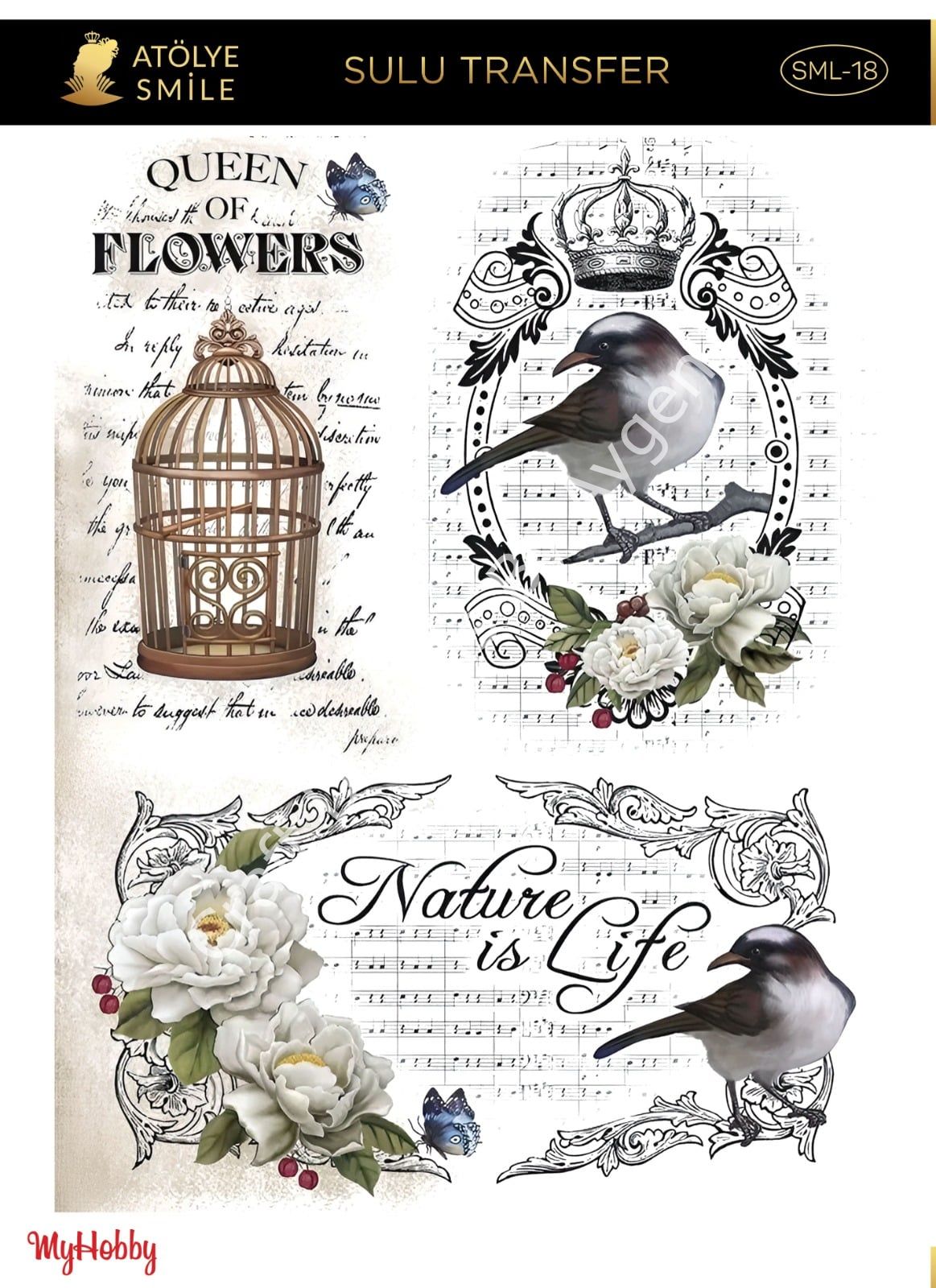 SMİLE SULU TRANSFER SML-18