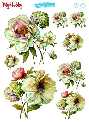 My Hobby SULU TRANSFER 127