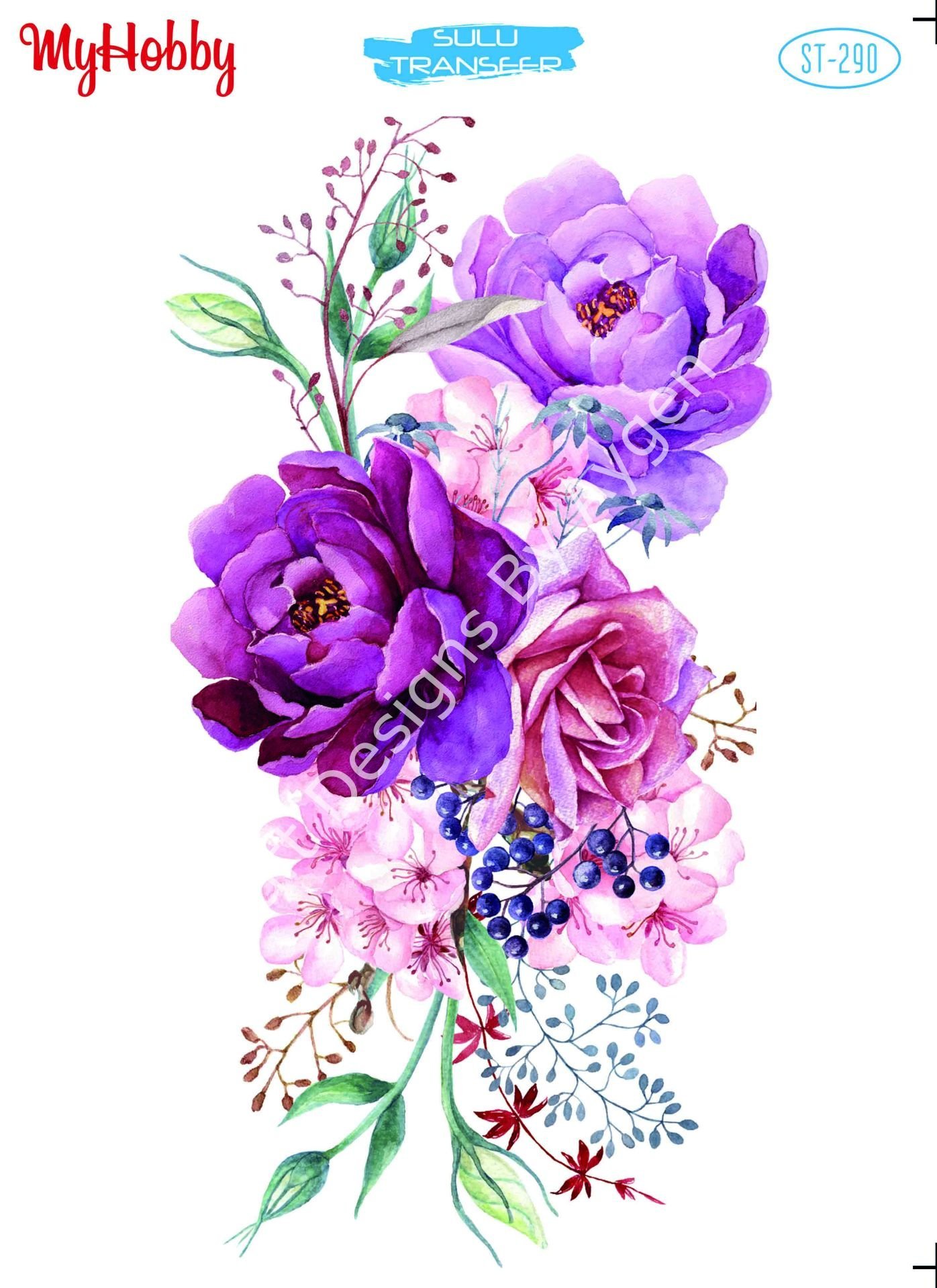 My Hobby SULU TRANSFER 290