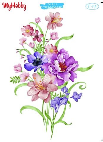 My Hobby SULU TRANSFER 314