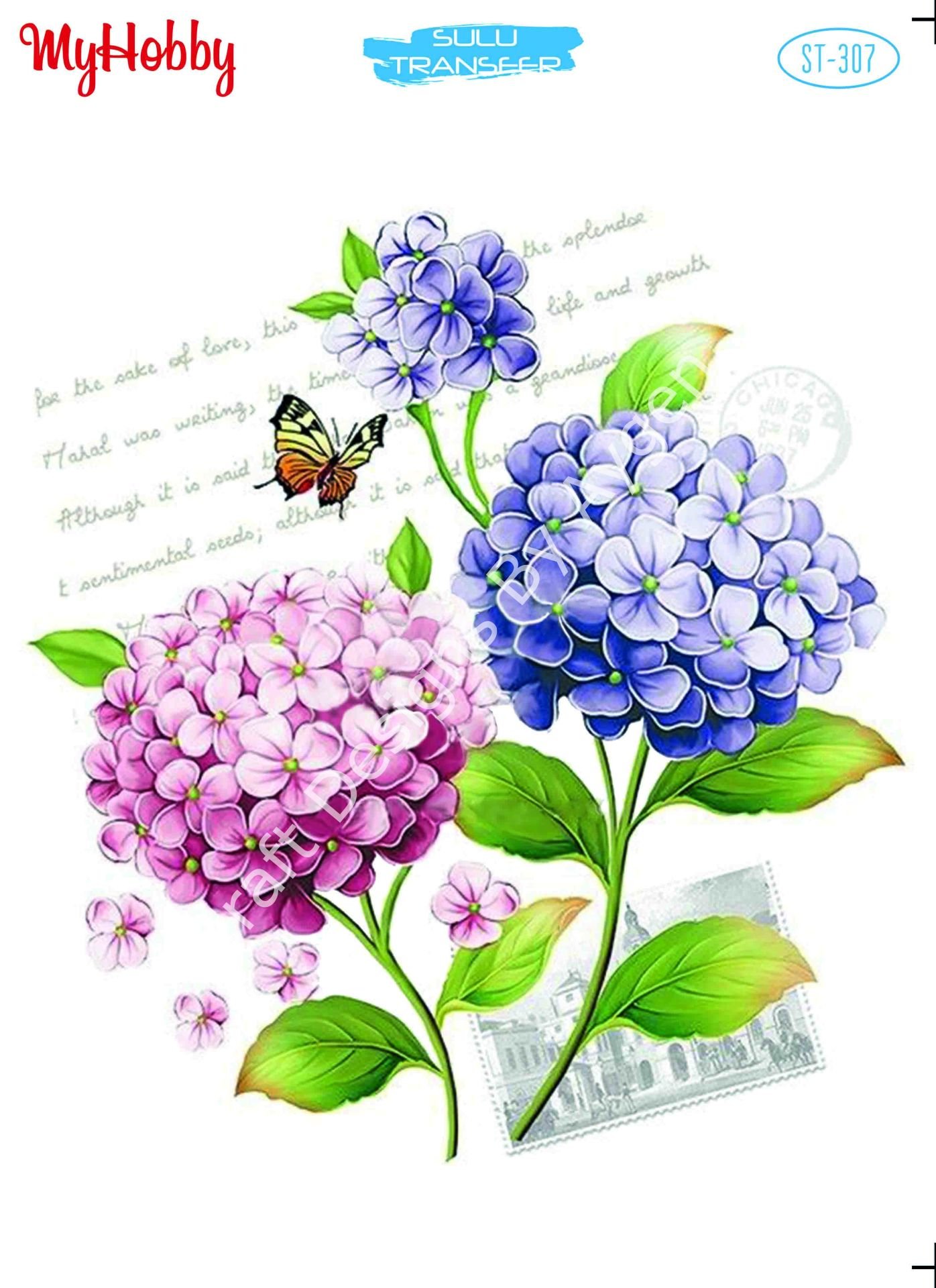 My Hobby SULU TRANSFER 307