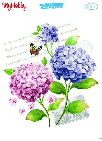 My Hobby SULU TRANSFER 307