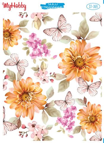 My Hobby SULU TRANSFER 369