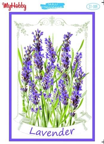 My Hobby SULU TRANSFER 309