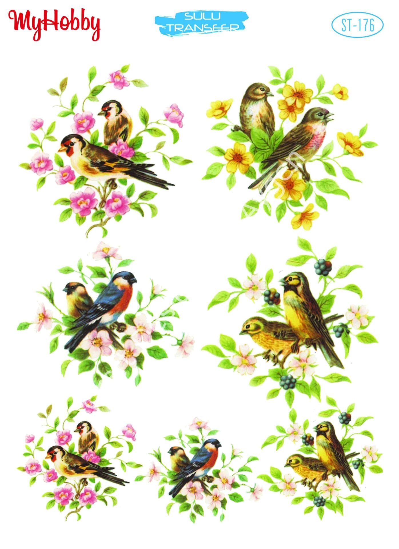 My Hobby SULU TRANSFER 176