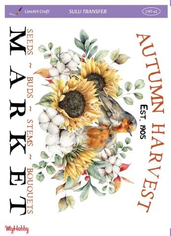 Lineart SULU TRANSFER LNT 42