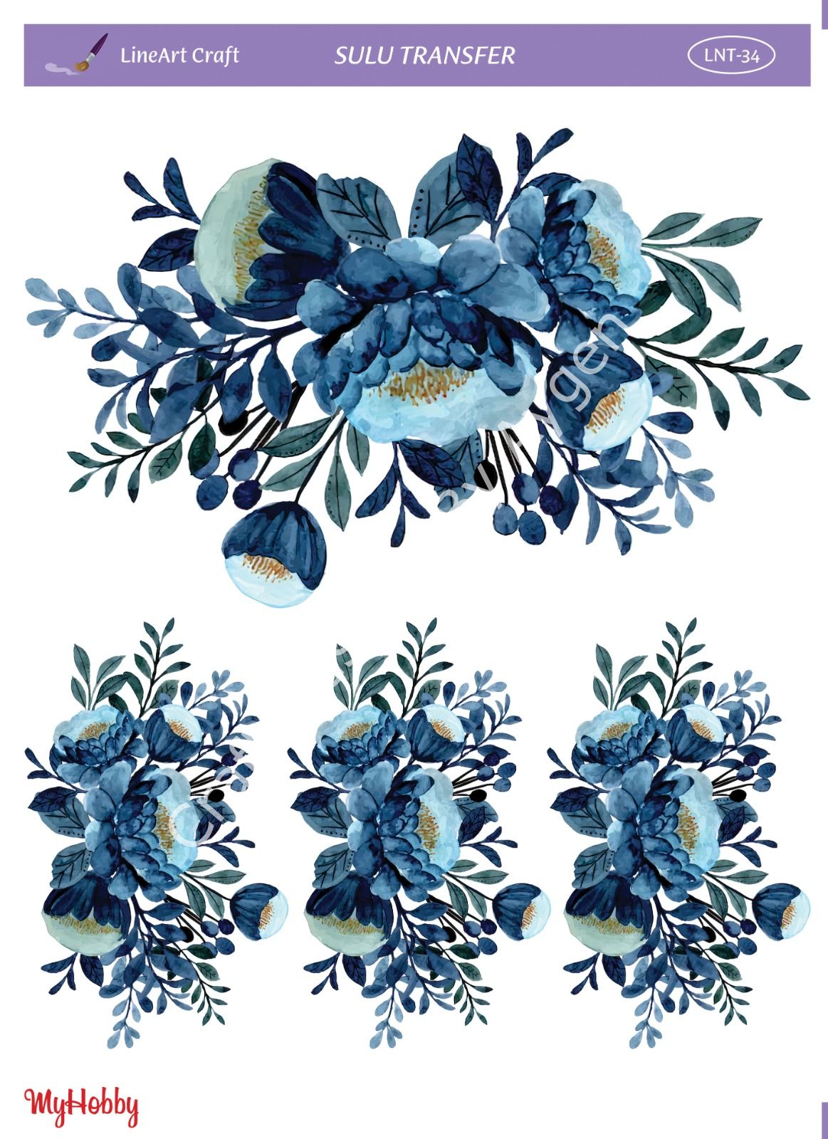 Lineart SULU TRANSFER LNT 34