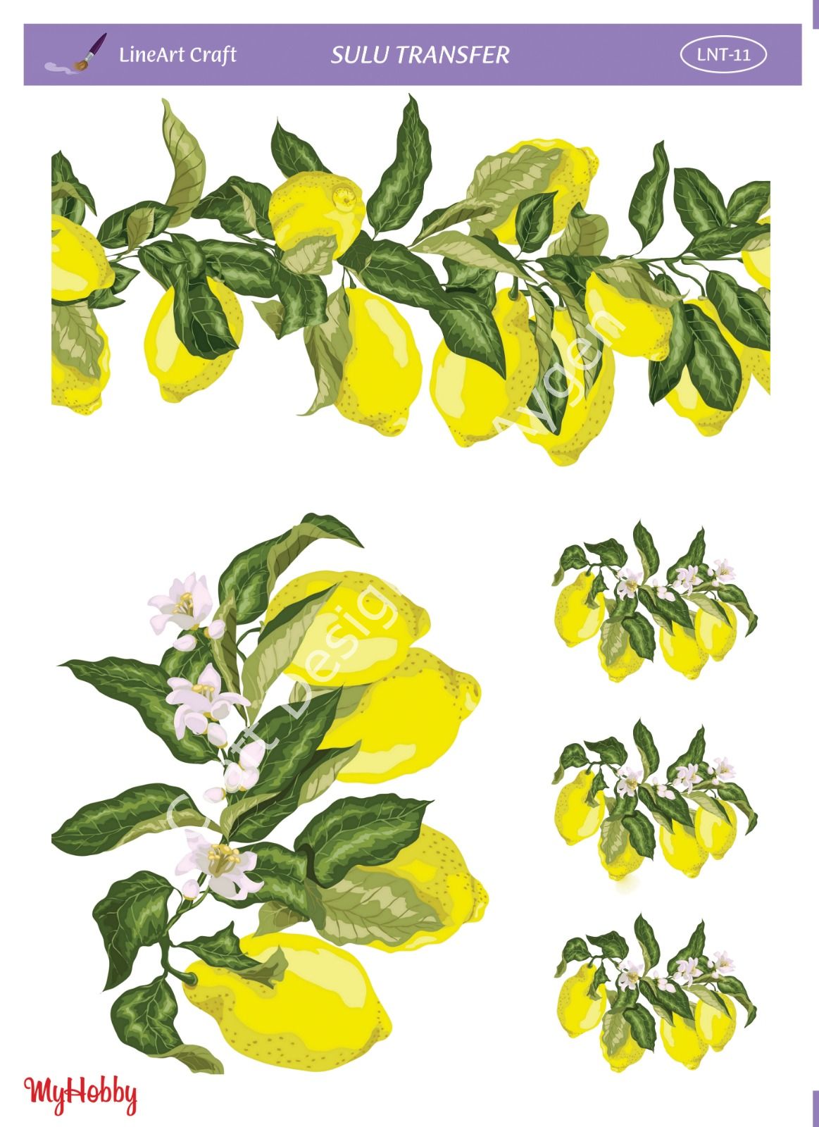 Lineart SULU TRANSFER LNT 11