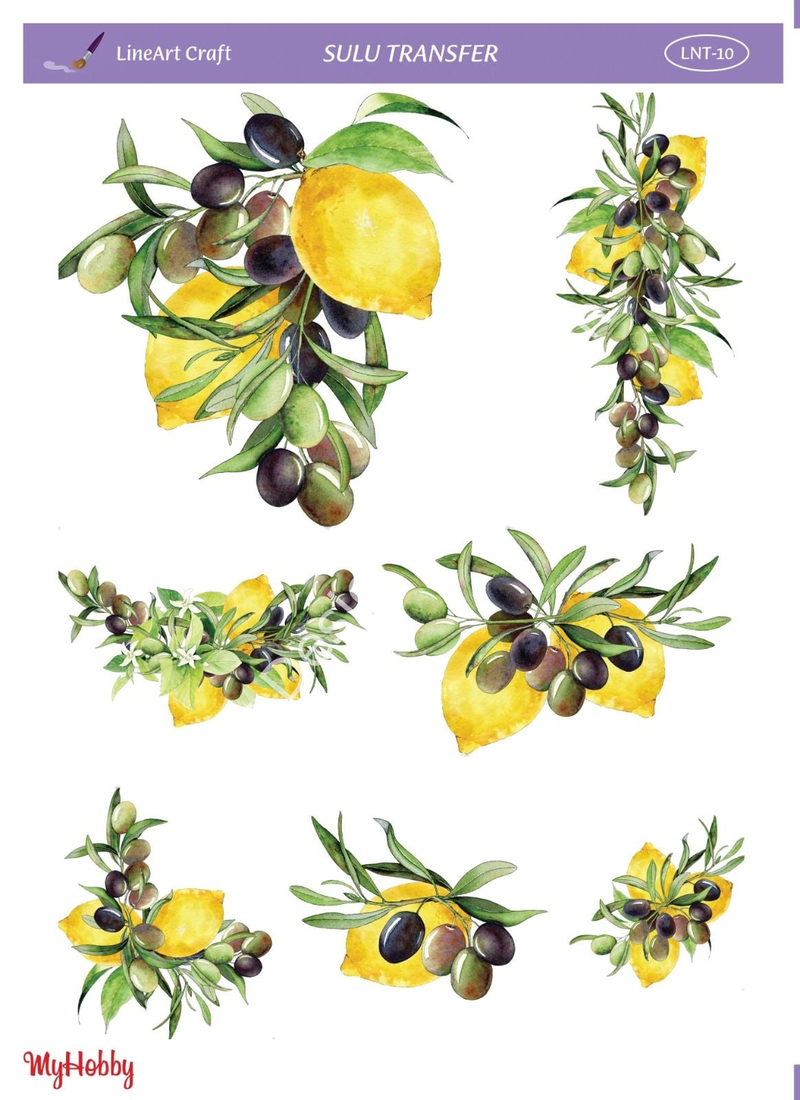 Lineart SULU TRANSFER LNT 10