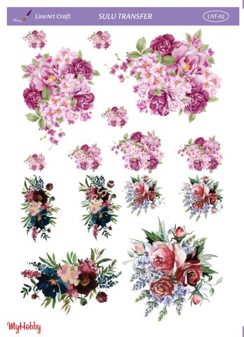 Lineart SULU TRANSFER LNT 02
