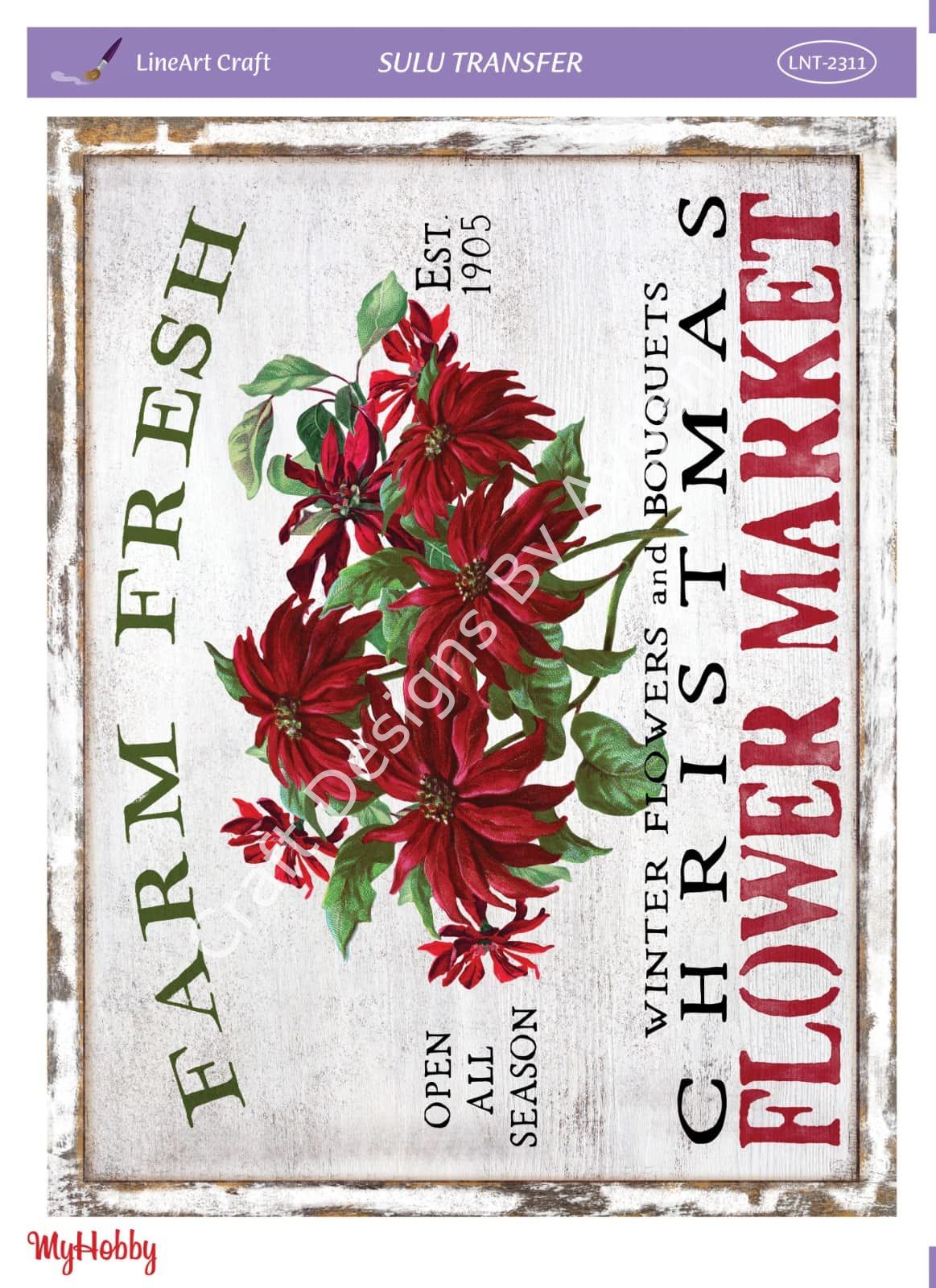 Lineart SULU TRANSFER LNT 2311