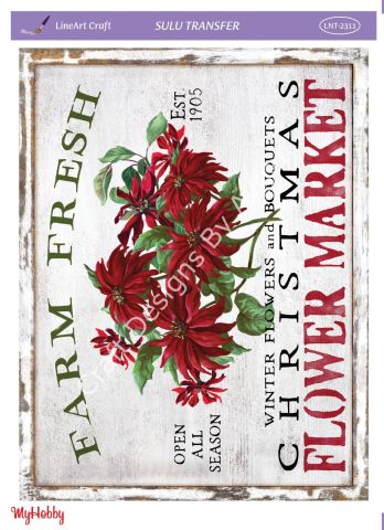 Lineart SULU TRANSFER LNT 2311