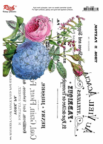 KOLAY TRANSFER RICH BA 1359