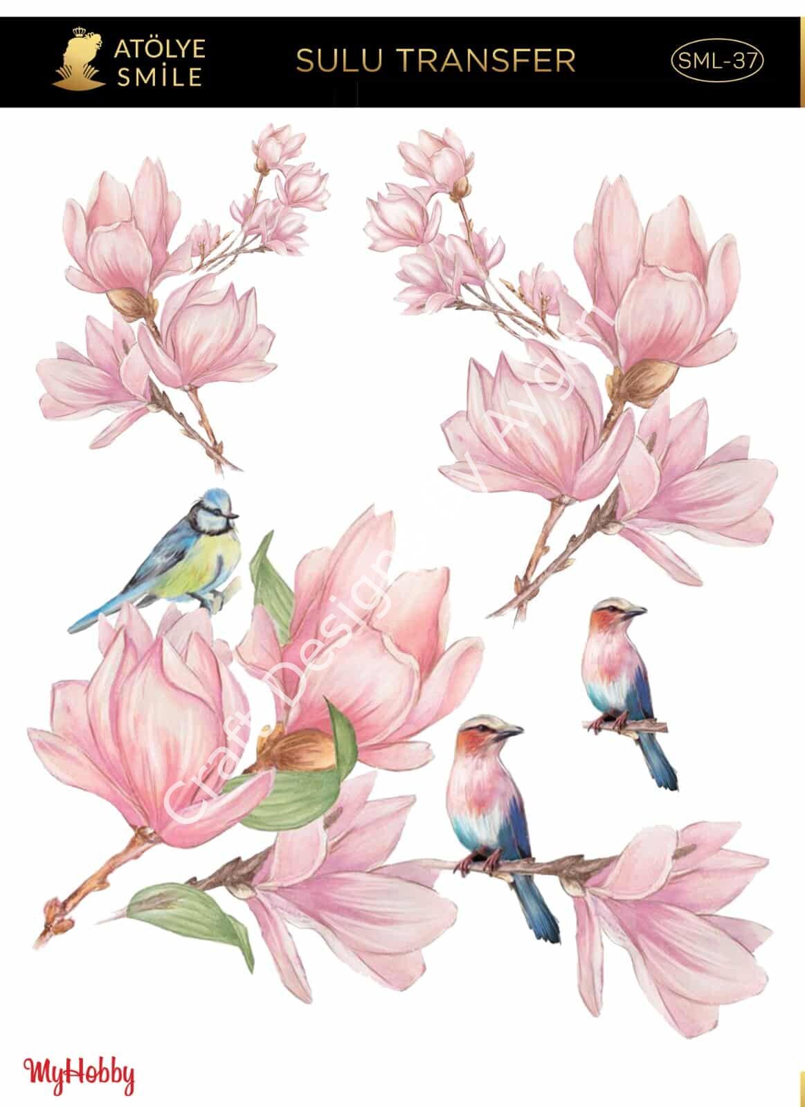 SMİLE SULU TRANSFER SML-37