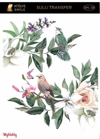 SMİLE SULU TRANSFER SML-38