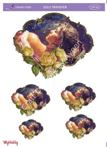 Lineart SULU TRANSFER LNT 16