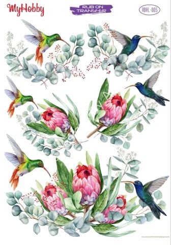 My Hobby RUB-ON TRANSFER-RBXL 005