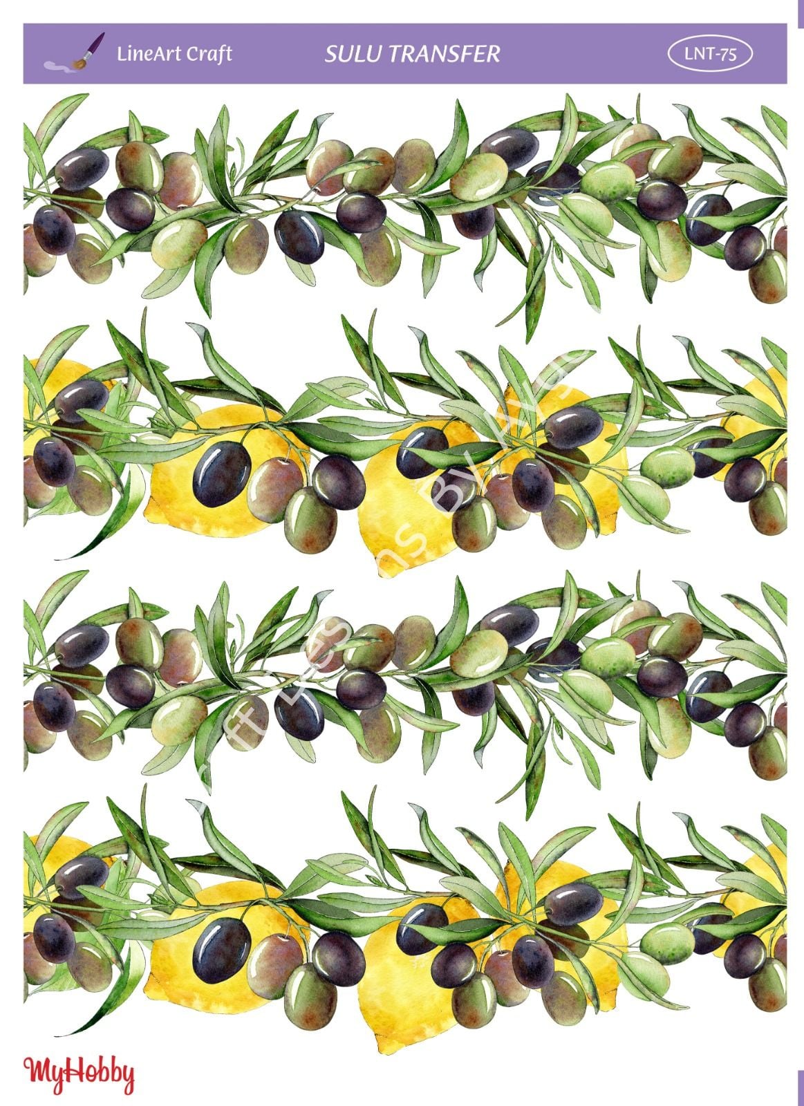 Lineart SULU TRANSFER LNT 75