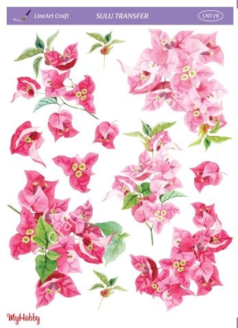 Lineart SULU TRANSFER LNT 78