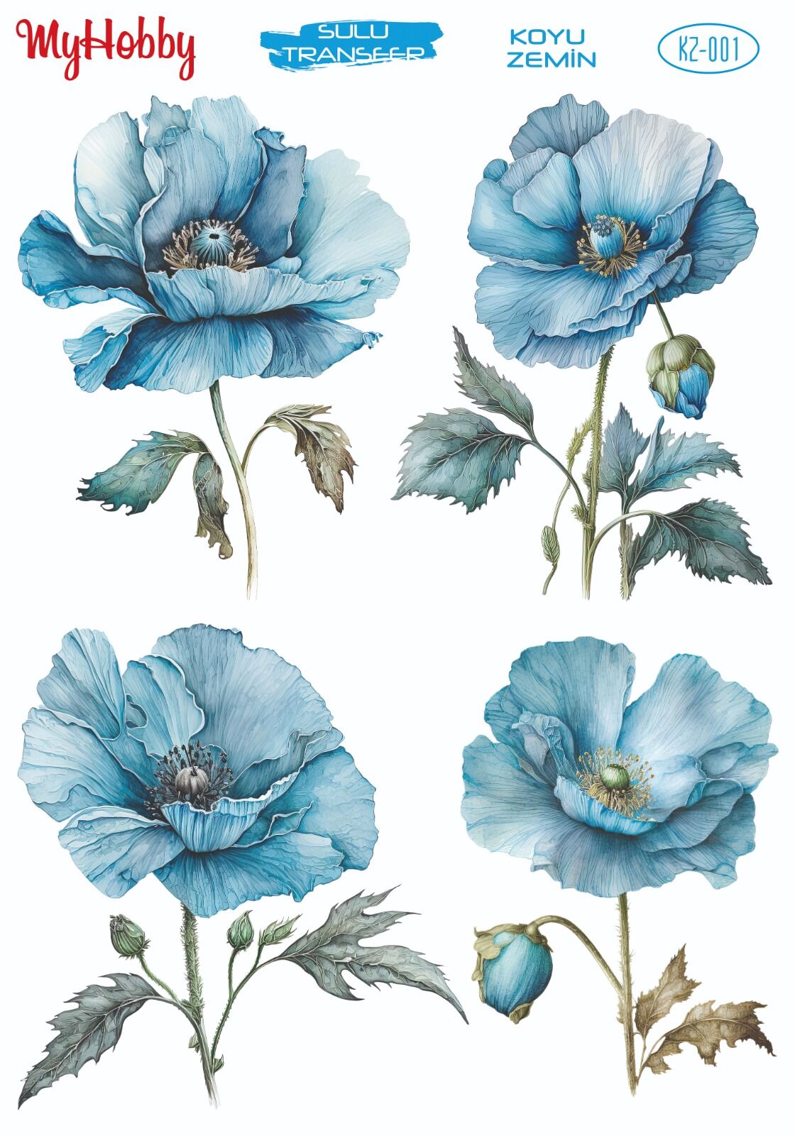 My Hobby KOYU ZEMİN SULU TRANSFER KZ001