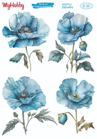 My Hobby KOYU ZEMİN SULU TRANSFER KZ001