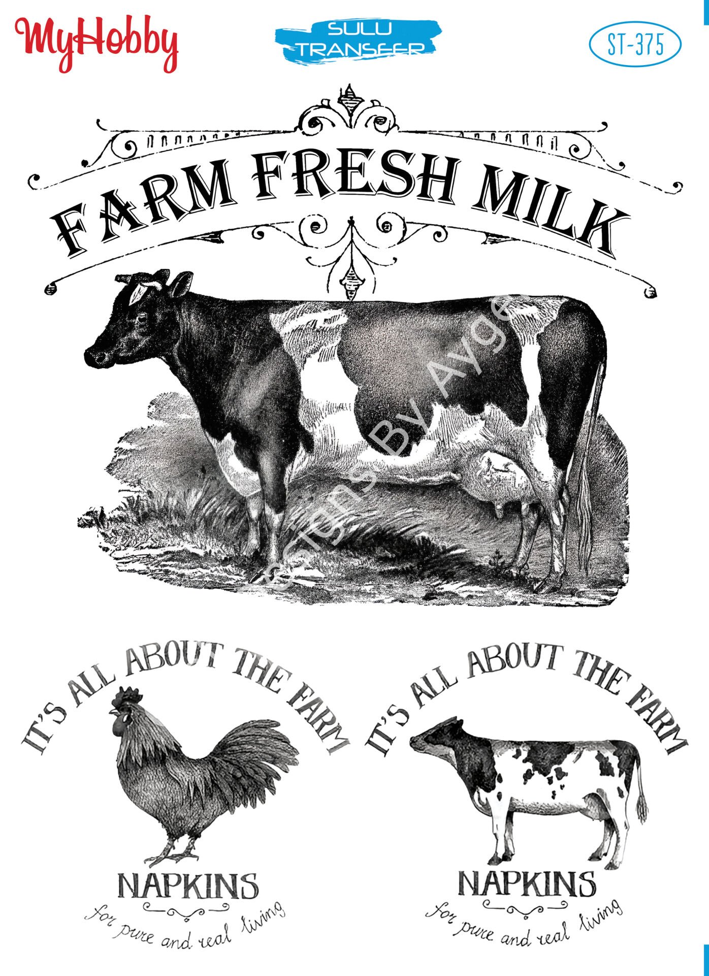 My Hobby SULU TRANSFER 375