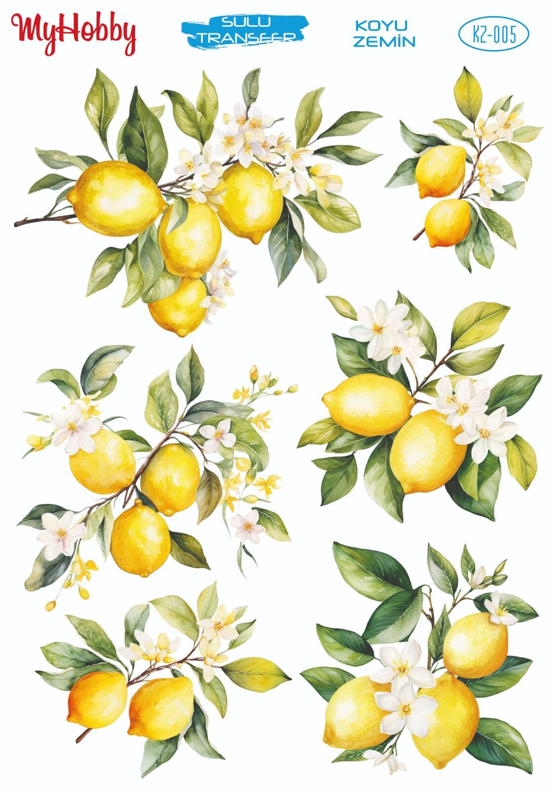 My Hobby KOYU ZEMİN SULU TRANSFER KZ005