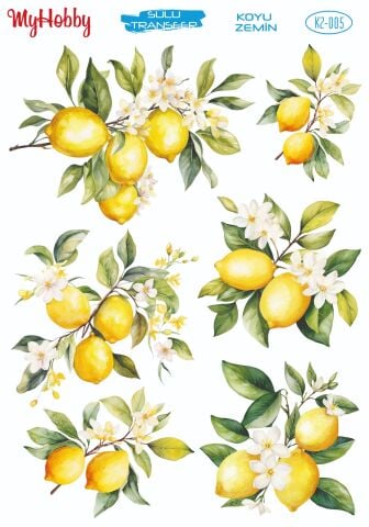 My Hobby KOYU ZEMİN SULU TRANSFER KZ005